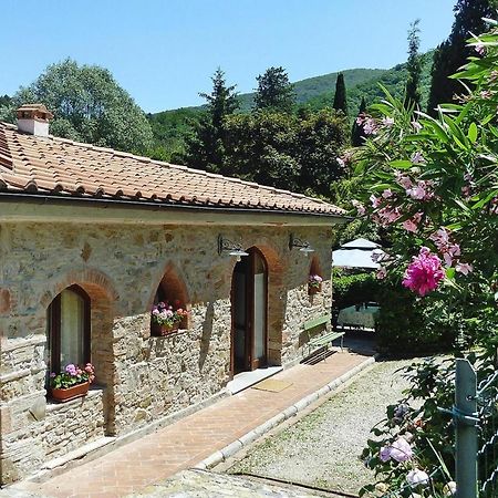 Holiday Home Casa Carla, Ripafratta Εξωτερικό φωτογραφία