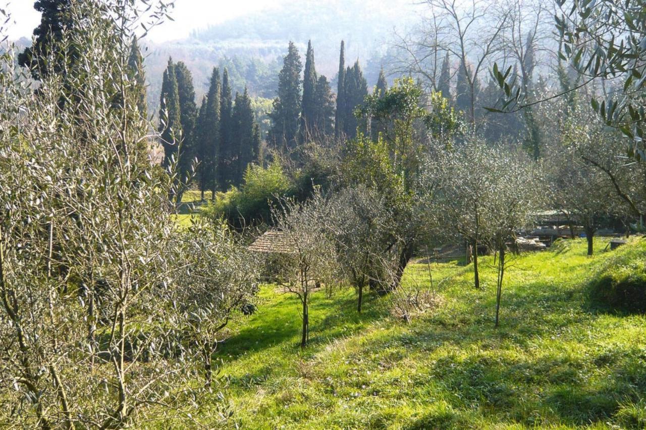 Holiday Home Casa Carla, Ripafratta Εξωτερικό φωτογραφία