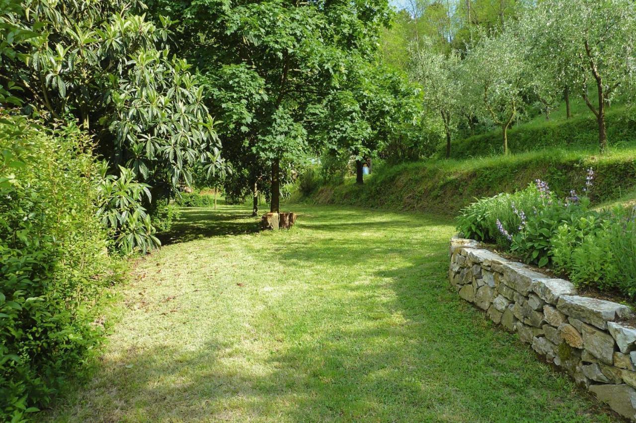 Holiday Home Casa Carla, Ripafratta Εξωτερικό φωτογραφία